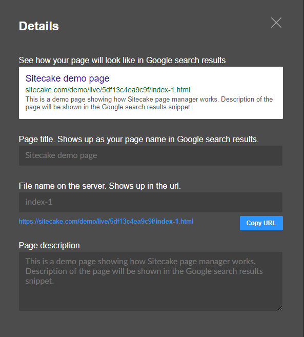 SEO details panel